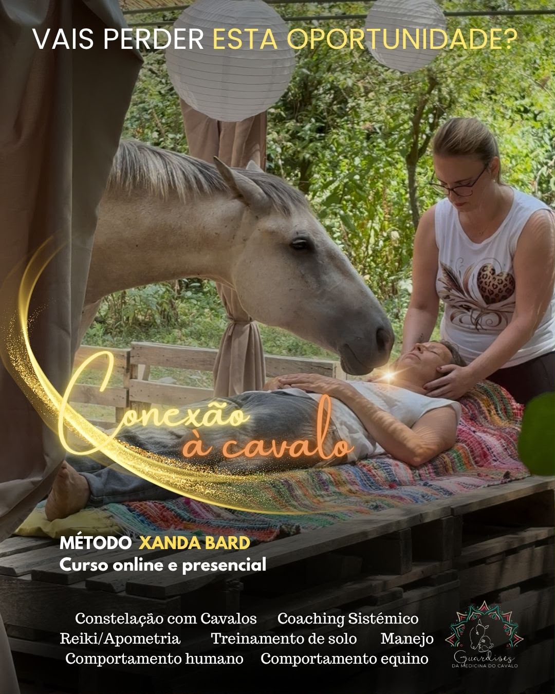 Cursos com cavalos