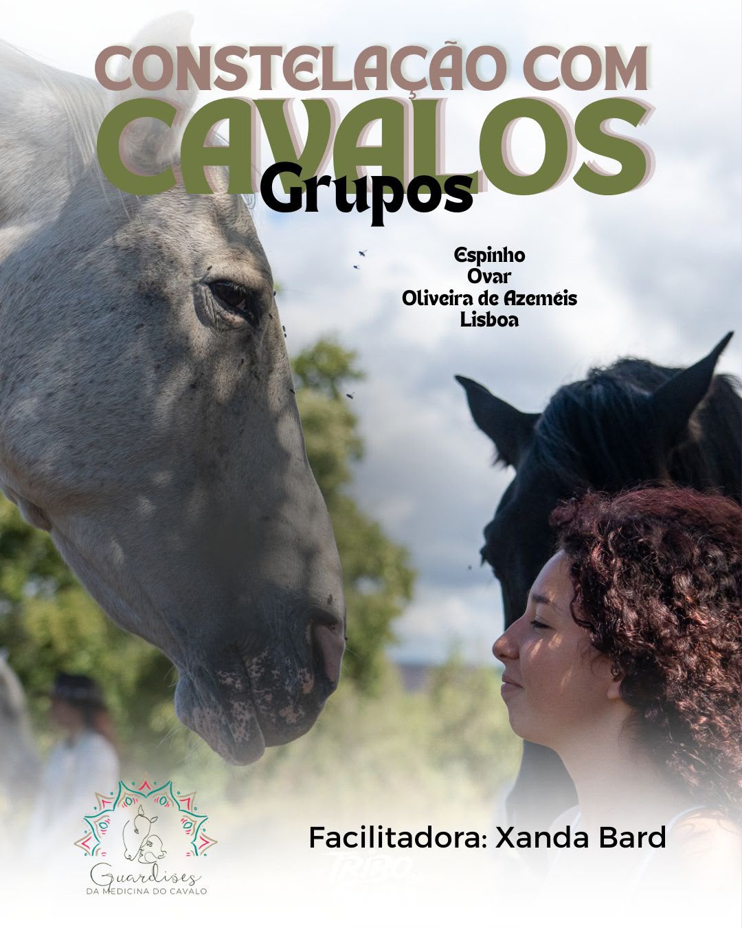 Grupos com cavalos
